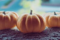 three orange pumpkins