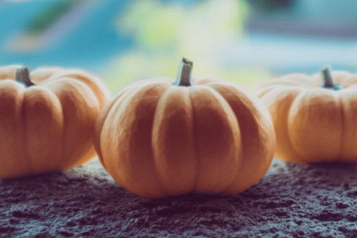 three orange pumpkins