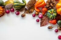 green and red dragon fruit and brown and green leaves