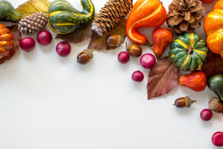 green and red dragon fruit and brown and green leaves